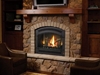 Picture for category Vented Gas Fireplaces